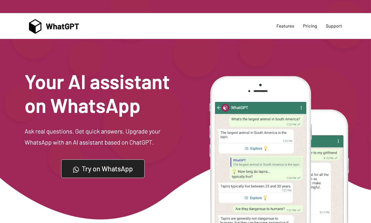 WhatGPT — превью