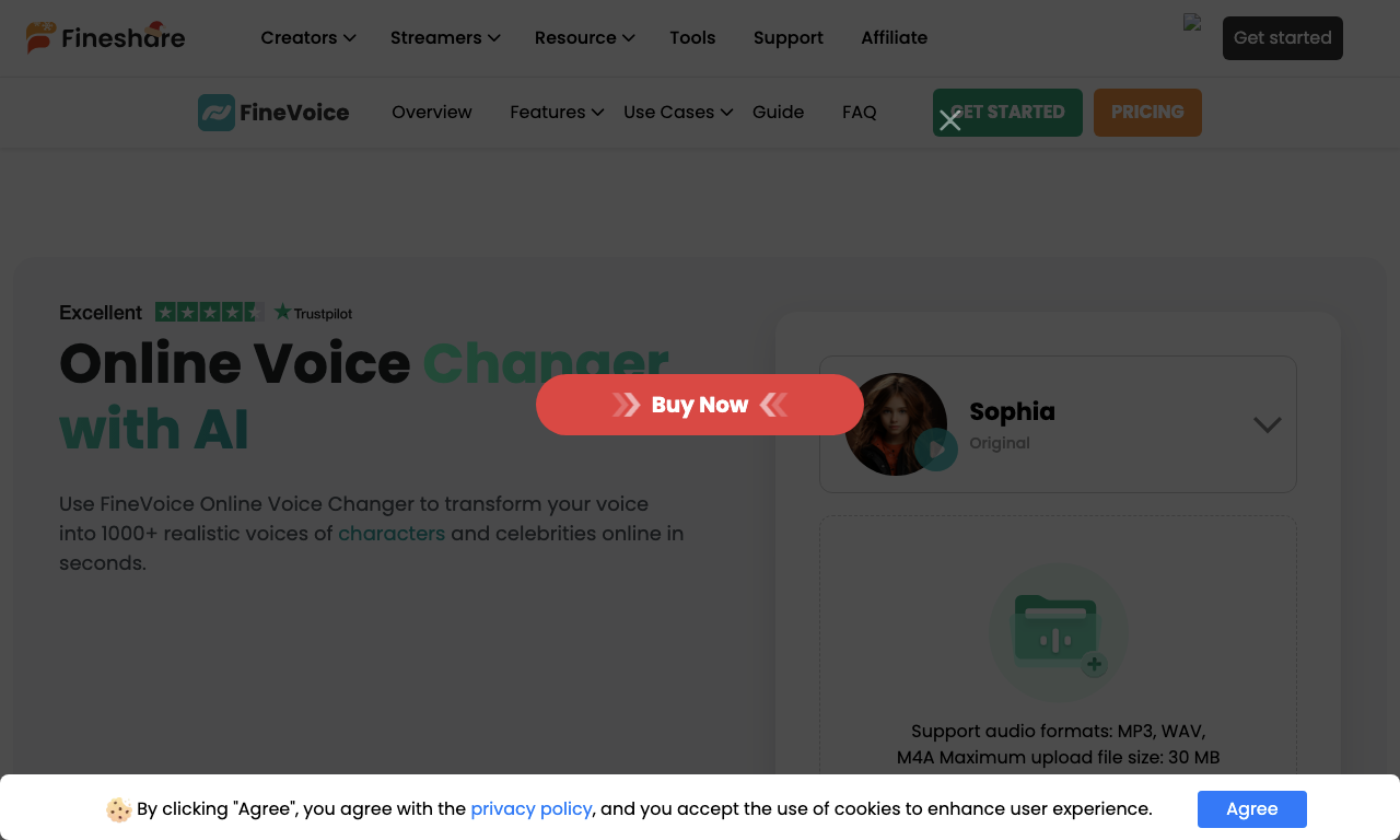 FineShare Online Voice Changer — превью