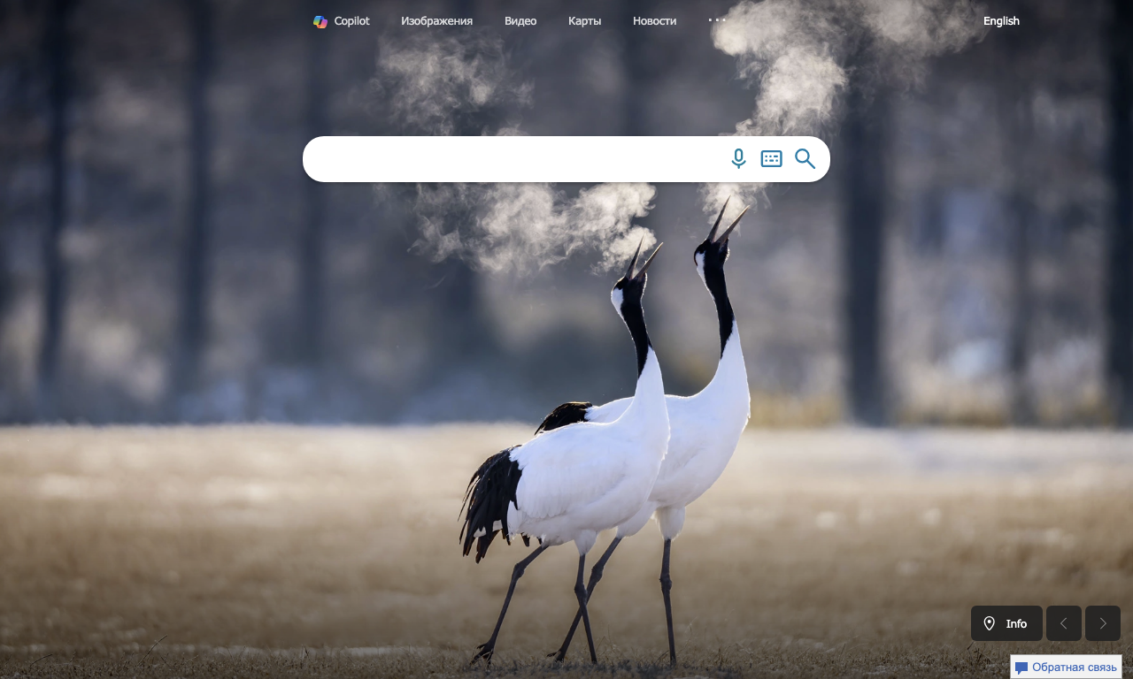 Microsoft Bing — интерфейс