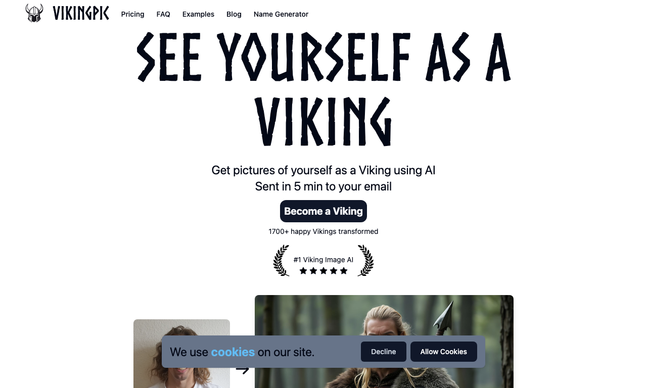 VikingPic — интерфейс